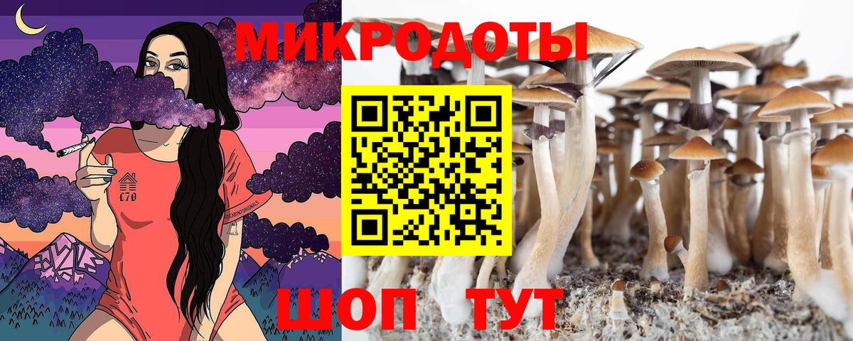 Псилоцибиновые грибы ЛСД  Вход с VPN  цены наркотик  Шарыпово 