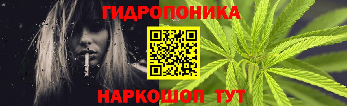 Марихуана гибрид Шарыпово